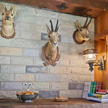 Sauna, Nature & Parking Prive - Vercorin, 10 Pers Chalais