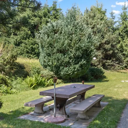 Sauna, Nature&parking Privé - Vercorin, 10 Pers Chalet *